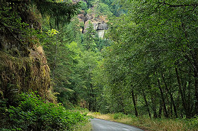 OR: South Coast Region, Douglas County, Coast Range, Reedsport Area, Camp Creek Area (BLM), Lower portions of Camp Creek Road pass along the bottom of a cliff-lined gorge [Ask for #274.634.]