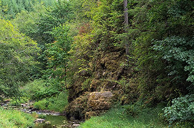 OR: South Coast Region, Douglas County, Coast Range, Reedsport Area, Camp Creek Area (BLM), Lower portions of Camp Creek Road pass along the bottom of a cliff-lined gorge [Ask for #274.637.]