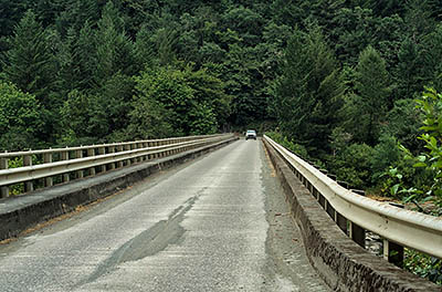 OR: South Coast Region, Douglas County, Coast Range, Reedsport Area, Camp Creek Area (BLM), Tyee Area, The Umpqua River at the one-lane BLM bridge [Ask for #274.644.]