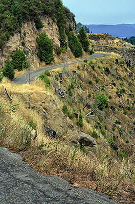 OR: South Coast Region, Douglas County, Coast Range, Camp Creek Area (BLM), A logging road runs through a large clear cut north of the Camp Creek Canyon, with wide views [Ask for #274.651.]