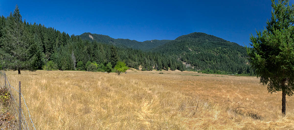 OR: Curry County, Coast Range, Rogue River Area, Foster Bar Area. Wide meadows beside the Rogue River [Ask for #274.765.]