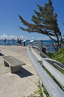 OR: Coos County, Coos Bay Area, Cape Arago Parks, Simpson Reef Viewpoint, View of Simpson Reef Overlook. [Ask for #274.918.]