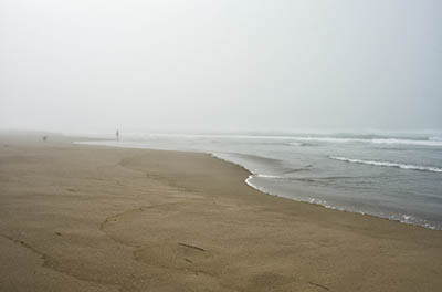 Beachcombing in the fog at Horsfall Beach.