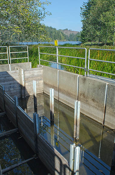 OR: South Coast Region, Coos County, Northern Coastal Area, The Lakes Behind the Dunes, Eel Lake, William M Tugman State Park, This fish trap on the lake's outflow is used for steelhead trout conservation and breeding, and doubles as a fish ladder. [Ask for #274.A12.]