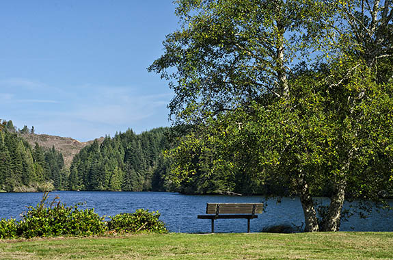 OR: South Coast Region, Coos County, Northern Coastal Area, The Lakes Behind the Dunes, Eel Lake, William M Tugman State Park, View over Eel Lake from the park's picnic area [Ask for #274.A13.]