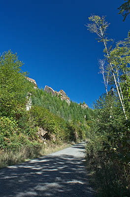 OR: South Coast Region, Coos County, Coast Range, Elliott State Forest, The Ridgetop Drive, FR 1000, The road reaches a clearcut as it briefly enters Weyerhauser's Millacoma Tree Farm and climbs towards the ridgetop; large outcrops line the road [Ask for #274.A39.]