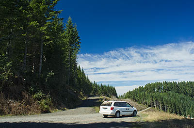 OR: South Coast Region, Coos County, Coast Range, Elliott State Forest, The Ridgetop Drive, FR 7000, A Dodge Grand Caravan follows the Ridgetop Drive [Ask for #274.A54.]