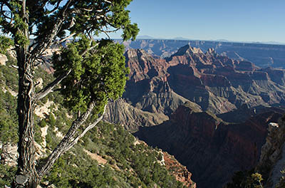 AZ: Northern Arizona Region, Coconino County, Grand Canyon Area, Grand Canyon National Park, North Rim, Grand Canyon Lodge-North Rim, Lodge Overlook, Canyon view [Ask for #275.182.]