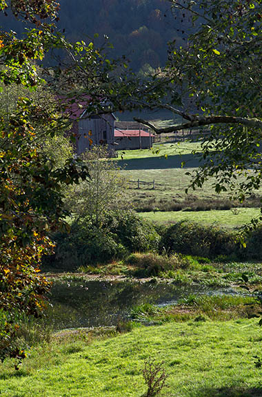 OR: South Coast Region, Douglas County, Coast Range, Smith River Area, Lower Smith River, North Fork Community, A barn in fields at North Fork Community [Ask for #276.026.]