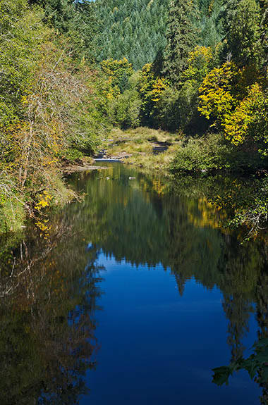 OR: South Coast Region, Douglas County, Coast Range, Smith River Area, Middle Smith River, Vincent Creek Recreation Area (BLM), Reflections in stillwater on Smith River at the recreation area. [Ask for #276.045.]