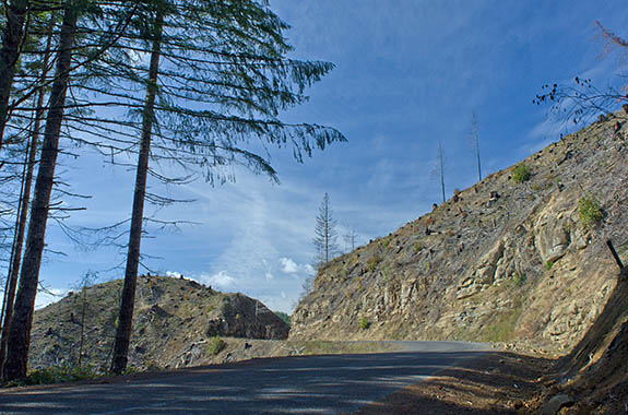 OR: South Coast Region, Douglas County, Coast Range, Reedsport Area, Smith River Area, Smith River Side Roads, Oxbow Road, Oxbow Road climbs out of the Smith River Valley and into a recent clearcut. [Ask for #276.057.]