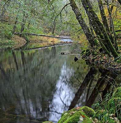 OR: Douglas County, Coast Range, Smith River Area, Upper Smith River, Still water on the Smith River in late fall [Ask for #276.127.]