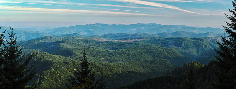 OR: South Coast Region, Douglas County, Coast Range, Reedsport Area, Camp Creek Area (BLM), Tyee Area, Mountain view eastward from the Pacific Divide near sunset [Ask for #276.132.]