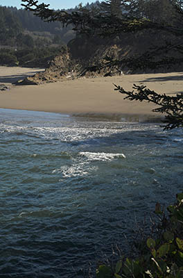 OR: Coos County, Coos Bay Area, Cape Arago Parks, Yoakam Point State Park, View from Yoakam Point back towards Bastendorff Beach [Ask for #276.177.]