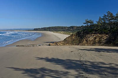 OR: South Coast Region, Coos County, Coos Bay Area, Cape Arago Parks, Yoakam Point State Park, View from Yoakam Point back towards Bastendorff Beach [Ask for #276.181.]