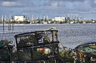 OR: Coos County, Coos Bay Area, Charleston Area, Charleston Harbor, Crab traps [Ask for #276.185.]