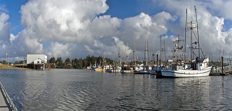 OR: Coos County, Coos Bay Area, Charleston Area, Charleston Harbor, Commercial fishing boats on the floating docks [Ask for #276.203.]