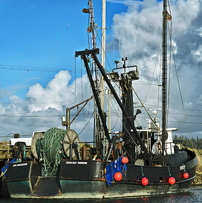 OR: Coos County, Coos Bay Area, Charleston Area, Charleston Harbor, Commercial fishing boats on the floating docks [Ask for #276.204.]