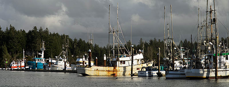 OR: Coos County, Coos Bay Area, Charleston Area, Charleston Harbor, Commercial fishing boats on the floating docks [Ask for #276.208.]