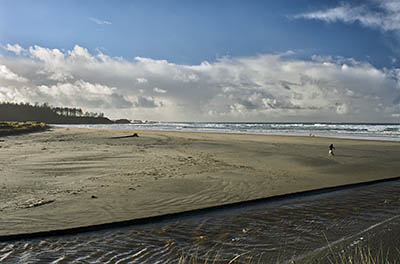 OR: Coos County, Coos Bay Area, Cape Arago Parks, Bastendorff Beach County Park, View towards Yoakam Point [Ask for #276.212.]