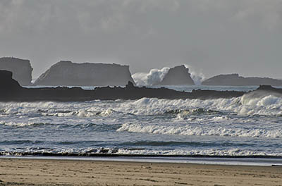 The Oregon Dunes meet the cliffs of Cape Arago.