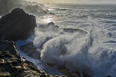 OR: Coos County, Coos Bay Area, Cape Arago Parks, Shore Acres Cliffs, High surf pounds against sea cliffs [Ask for #276.215.]