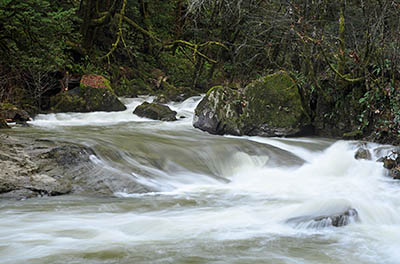 OR: South Coast Region, Coos County, Coast Range, Old Coos Bay Wagon Road, Upper Brewster Canyon, A small waterfall on the East Fork Coquille River, in flood [Ask for #276.283.]