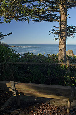 OR: South Coast Region, Coos County, Coos Bay Area, Cape Arago Parks, Sunset Bay State Park, Sunset Bay Cliffs, Cliff-top bench [Ask for #276.307.]