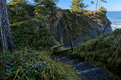 OR: Coos County, Coos Bay Area, Cape Arago Parks, Shore Acres Cliffs, Path leads down steps along a cliff-top forest [Ask for #276.356.]
