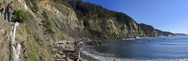 OR: South Coast Region, Coos County, Coos Bay Area, Cape Arago Parks, Cape Arago State Park, South Cove, A path descends the cliffs to give wide views over South Cove and The Seven Devils, a line of cliffs [Ask for #276.383.]