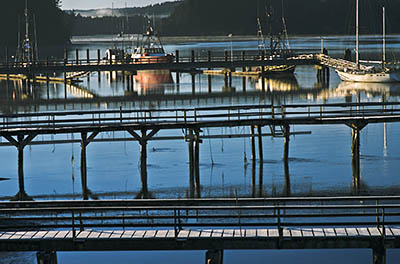 OR: Coos County, Coos Bay Area, Charleston Area, Charleston Harbor, View over the oyster docks [Ask for #276.387.]