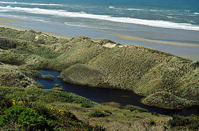 OR: South Coast Region, Lane County, Pacific Coast, Oregon Dunes, North of Florence, The northern terminus of the Oregon Dunes, the largest dune field on Oregon's Pacific coast. The dunes impound a small lake. [Ask for #276.484.]