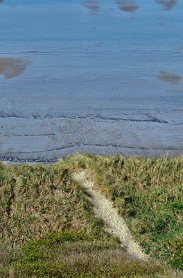 Foot path leads over grassy dunes to the beach. [Ask for 276.461]