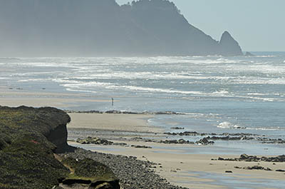 OR: South Coast Region, Lane County, Pacific Coast, Cape Perpetua Area, Roosevelt Beach, View towards Rocky Knoll. [Ask for #276.509.]