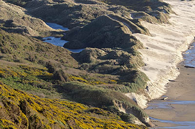 OR: South Coast Region, Lane County, Pacific Coast, Cliffs, Sea Lion Cliffs, View from the cliffs towards the northern terminus of the Oregon Dunes [Ask for #276.571.]