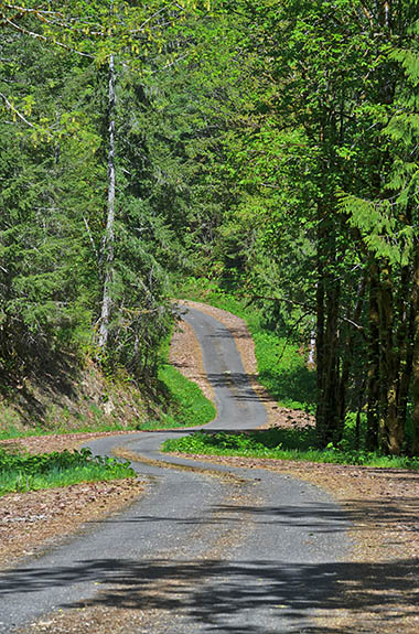 OR: South Coast Region, Douglas County, Coast Range, Smith River Area, North Fork Smith River, FS 23 follows a ridgeline above the North Fork on its way to Kentucky Falls [Ask for #276.699.]