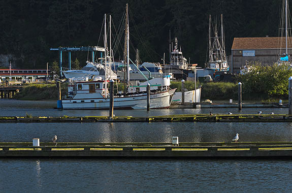 OR: South Coast Region, Douglas County, Pacific Coast, Reedsport Area, Winchester Bay, Commercial fishing boats moored near mouth of Winchester Bay [Ask for #276.714.]