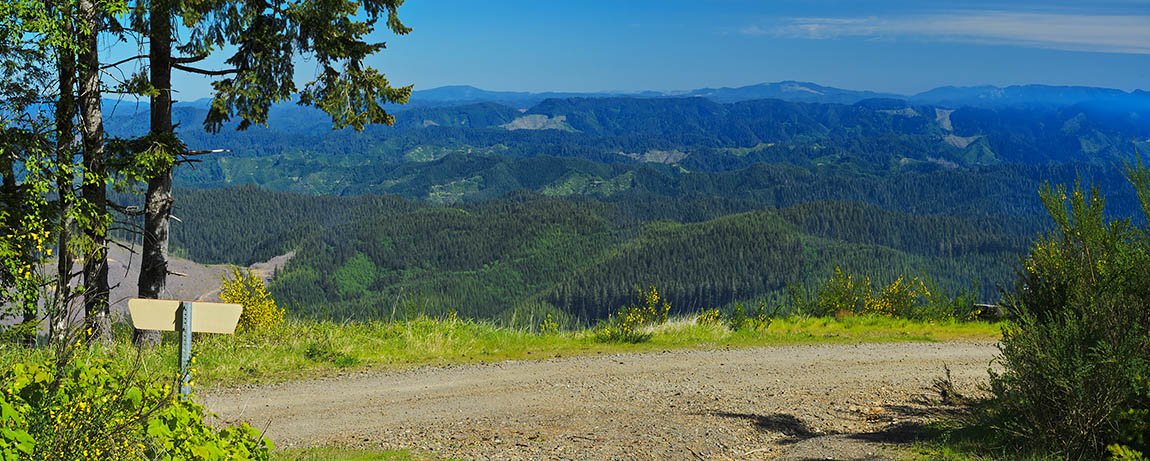 OR: South Coast Region, Douglas County, Coast Range, Smith River Area, Roman Nose Area, Roman Nose, Ridgetop gravel road at Roman Nose gives views north [Ask for #276.786.]