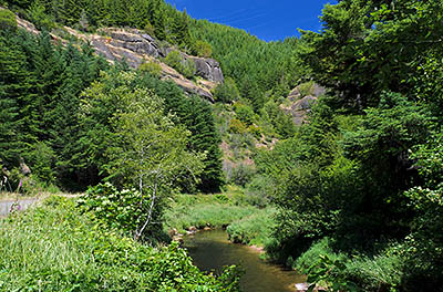 OR: South Coast Region, Douglas County, Coast Range, Reedsport Area, Camp Creek Area (BLM), Camp Creek Canyon, Camp Creek Road (BLM) follows Camp Creek along its cliff-lined gorge [Ask for #276.974.]