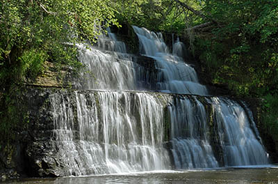 OR: South Coast Region, Douglas County, Coast Range, Reedsport Area, Camp Creek Area (BLM), Camp Creek Canyon, Camp Creek Falls, View of the waterfall [Ask for #276.976.]