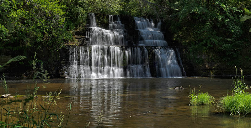 OR: South Coast Region, Douglas County, Coast Range, Reedsport Area, Camp Creek Area (BLM), Camp Creek Canyon, Camp Creek Falls, View of the waterfall [Ask for #276.978.]