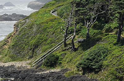 OR: South Coast Region, Lane County, Pacific Coast, Cape Perpetua Area, Cape Perpetua National Scenic Area, Cooks Chasm Viewpoint, A path descends on stairs to a sandy beach in a remote cove, as fog rolls in [Ask for #276.A45.]