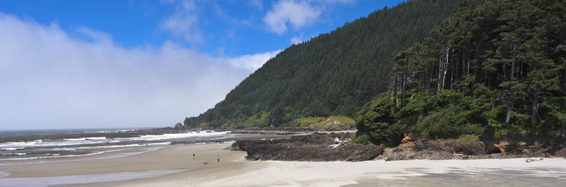 OR: South Coast Region, Lane County, Pacific Coast, Cape Perpetua Area, Neptune State Scenic Viewpoint, Neptune Overlook, View across the sand to a forested headland [Ask for #276.A47.]