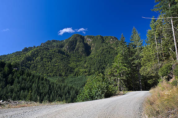 OR: South Coast Region, Curry County, Coast Range, Northern Rivers, Sixes River, The gravel road that parallels the upper stretches of the river runs through a clearcut, giving views. [Ask for #277.014.]