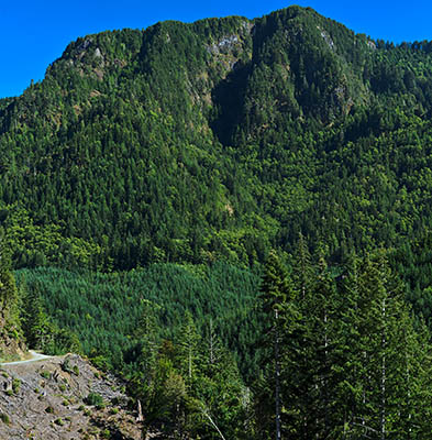 OR: Curry County, Coast Range, Sixes River, Sixes River. The gravel road that parallels the upper stretches of the river runs through a clearcut, giving views. [Ask for #277.019.]