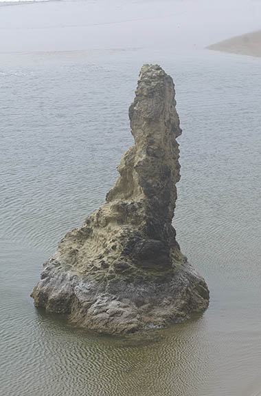 OR: Coos County, Bandon Area, South Beaches, Face Rock State Wayside. Sea spires rise from the beach, in fog [Ask for #277.156.]