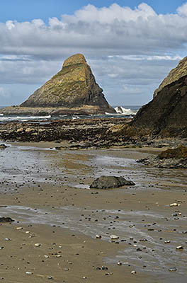 OR: South Coast Region, Lane County, Pacific Coast, Cape Perpetua Area, Heceta Head, Sea spire viewed across sand beach as tide goes out [Ask for #278.075.]