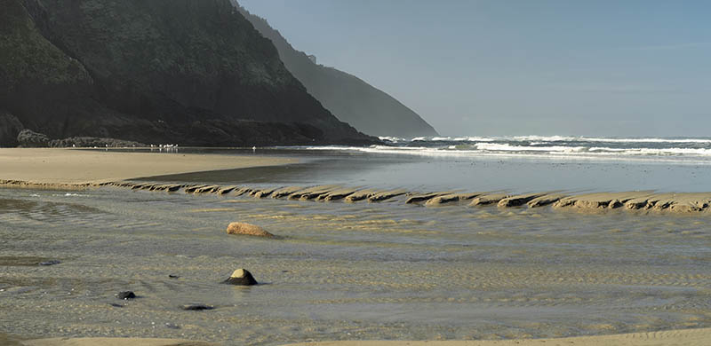 OR: South Coast Region, Lane County, Pacific Coast, Cape Perpetua Area, Heceta Head, Sea cliffs viewed across sand beach as tide goes out [Ask for #278.076.]