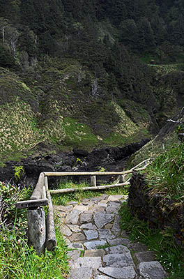 OR: South Coast Region, Lane County, Pacific Coast, Cape Perpetua Area, Cape Perpetua National Scenic Area, Devils Churn Day Use Area, Paved path descends sea cliffs to Devils Churn [Ask for #278.086.]