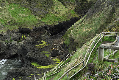 OR: South Coast Region, Lane County, Pacific Coast, Cape Perpetua Area, Cape Perpetua National Scenic Area, Devils Churn Day Use Area, Paved path descends sea cliffs to Devils Churn [Ask for #278.088.]